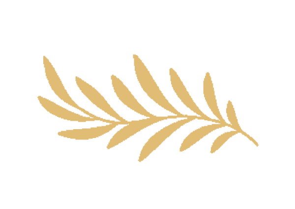 feuille olivier or