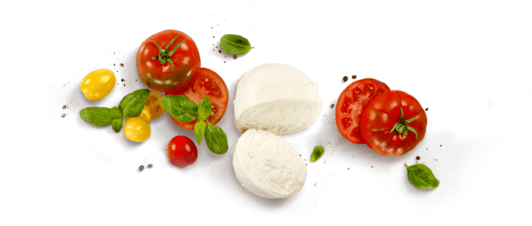 tomato mozzarella antipasti